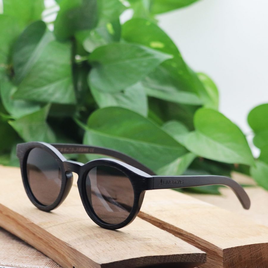 gafas de madera de bambú